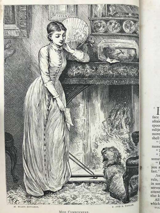 1879年 阿戈西杂志 数十幅插图 真皮精装32开 商品图5