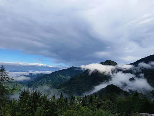 【崇州-244号院】5房独栋院子，可单房预定，海拔1314米，看云海日出、春夏挖笋、夏季避暑、萤火虫，冬季赏雪slxz 商品图5