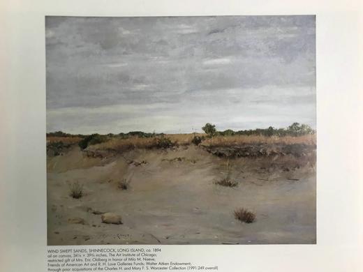 夏日午后：威廉·梅里特·蔡斯风景画集 88幅彩色37幅黑白插图 精装大16开 商品图11