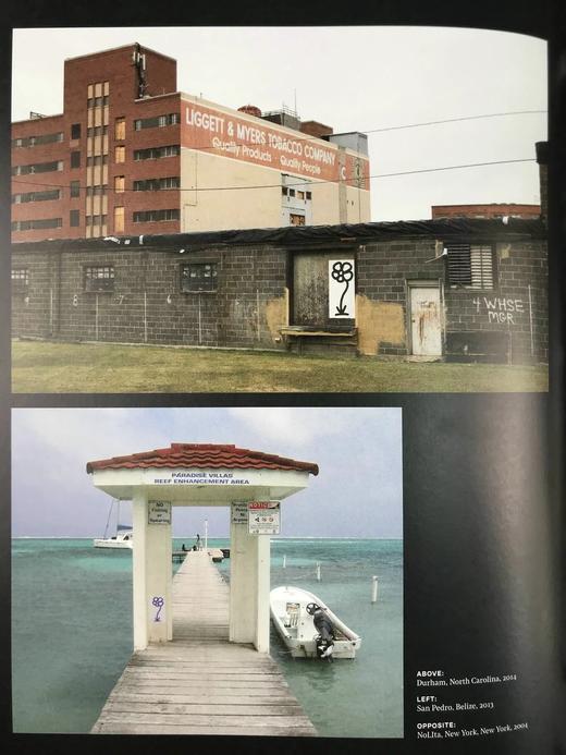 迈克尔·德费奥的鲜花 200余幅插图 精装16开 商品图8