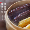 在菌屋 云南西双版纳白糯拇指玉米&紫糯拇指玉米500g/袋 3分甜 7分糯 非转基因老品种 商品缩略图0