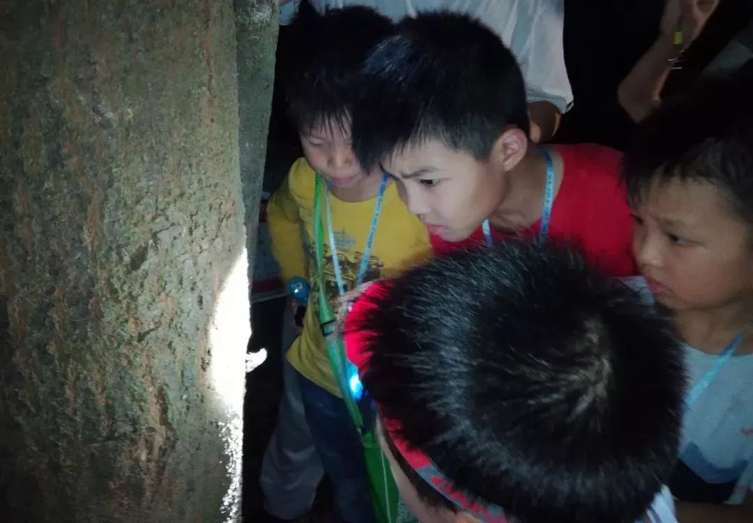 半日营【自然夜观亲子营】走进火炉山森林公园，探索昆虫和动物的小世界