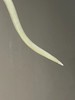 白玉雕如意云头波浪形发簪，顺丰包邮 商品缩略图11