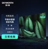 创维（912662）（Skyworth）平板液晶电视机 超高清全面屏 55英寸 远场语音-55H5D 商品缩略图0
