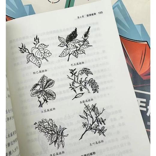 户外生存手册 商品图2