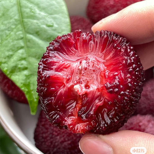 【一口爆汁】】东魁杨梅 500g/份 商品图2