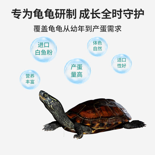 草龟膨化料水龟半水龟通用龟料养殖场专用 商品图4