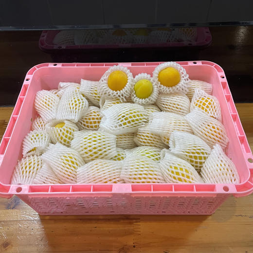 新疆小白杏（篮装）约1.5kg 商品图0