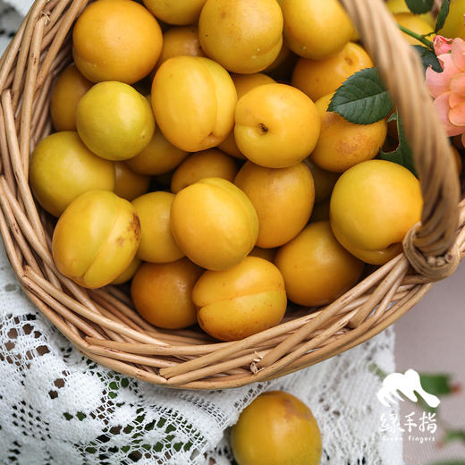 生态珍珠油杏| 合作生产 *Eco Pearl Apricot | Coprodution 商品图3