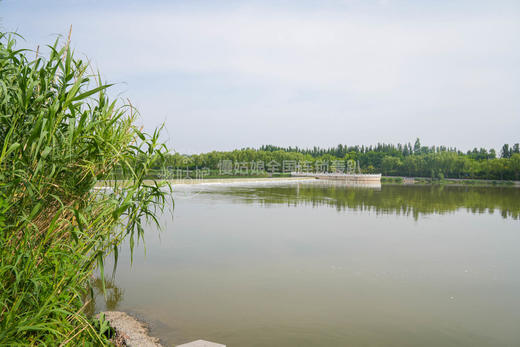 郑州慢姑娘润家小轰趴馆 商品图11