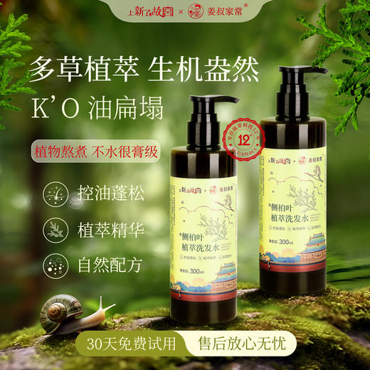 侧柏叶控油蓬松氨基酸多草植物洗发水温和清洁头皮油脂0硅油0月桂醇0香精 商品图5