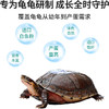 南祥牌高档名龟石金钱龟膨化配合饲料2包10公斤 上浮粒料龟粮食 颗粒状龟粮食 商品缩略图1