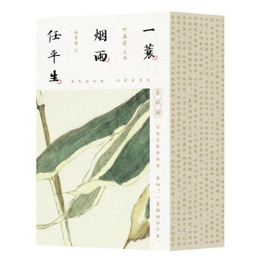 一蓑烟雨任平生：苏轼词 商品图0