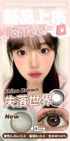 Toffee 失落世界 10片/盒（日抛型）