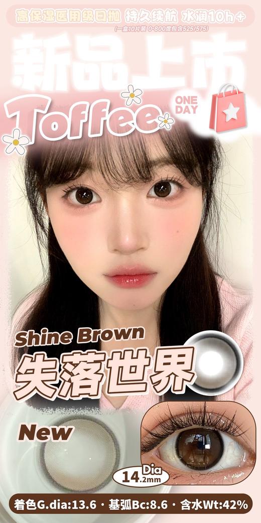 Toffee 失落世界 10片/盒（日抛型） 商品图0