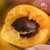 生态珍珠油杏| 合作生产 *Eco Pearl Apricot | Coprodution 商品缩略图5