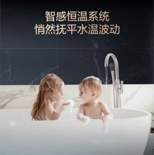 史密斯（510389）燃气热水器JSQ31-CLD 商品图1