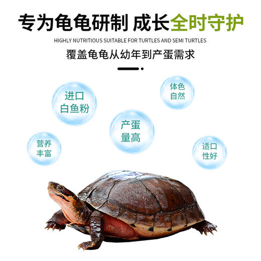 南强金钱龟专用饲料龟粮 宠物颗粒型龟饲料龟龟粮金龟粮1公斤 商品图2