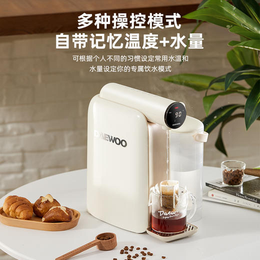 【官方直营】大宇即热式熟水机饮水机一体家用桌面台式小型饮水器凉白开直饮机 商品图0