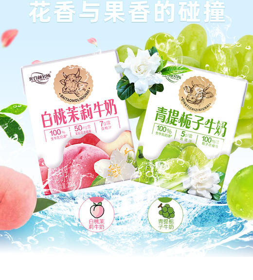 //【光合颜究所·青提栀子牛奶】𝙉𝙚𝙬 𝙖𝙧𝙧𝙞𝙫𝙖𝙡 ｜新品上线✅生牛乳添加量占80%以上✅添加青提汁、栀子花提取液 商品图0