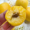 新疆小白杏（篮装）约1.5kg 商品缩略图3