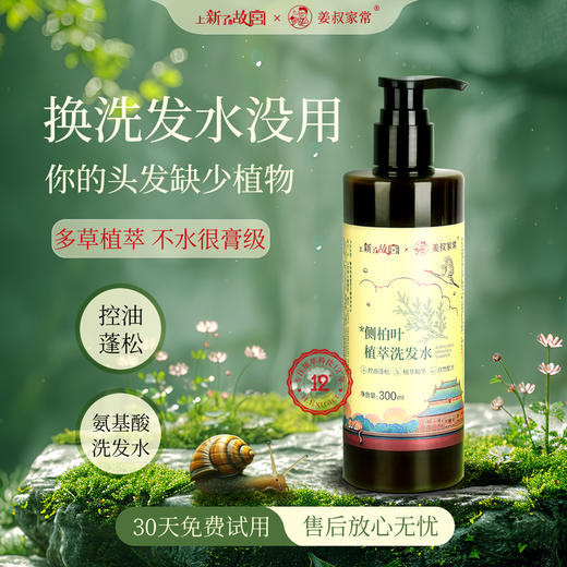 侧柏叶控油蓬松氨基酸多草植物洗发水温和清洁头皮油脂0硅油0月桂醇0香精 商品图1
