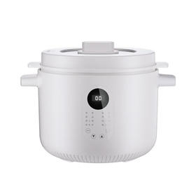 【小家电】龙的电炖锅煮粥神器煲汤锅炖汤锅煮粥锅熬粥燕窝炖盅 LD-DG2535 HF