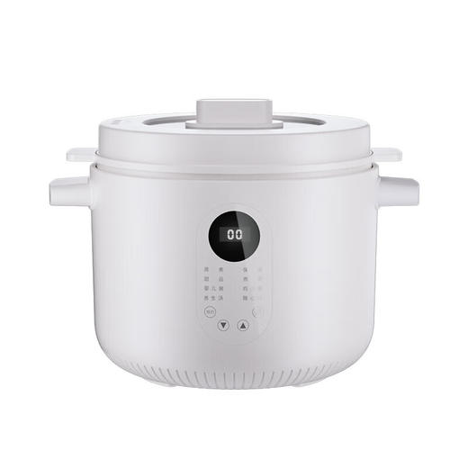 【小家电】龙的电炖锅煮粥神器煲汤锅炖汤锅煮粥锅熬粥燕窝炖盅 LD-DG2535 HF 商品图0