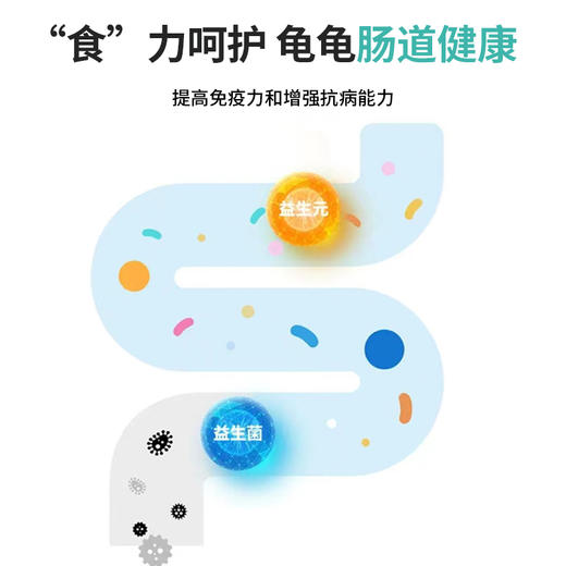 南强牌石金钱龟料4kg装 商品图2