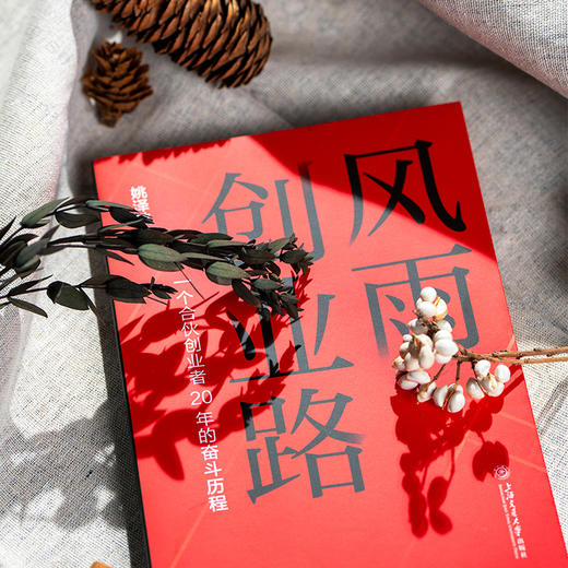 风雨创业路 商品图1