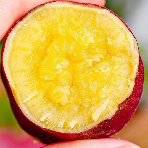 【产地直发】海南桥头地瓜/长寿乡珍品番薯 沙地红薯 3/5/9斤装-GP 商品图2