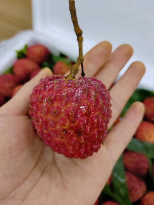 荔枝王一箱 商品图2