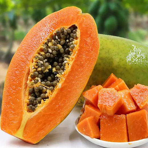 【产地直发】海南树上熟红心木瓜/新鲜牛奶青木瓜/健康轻食3/5/8斤装-GP 商品图4