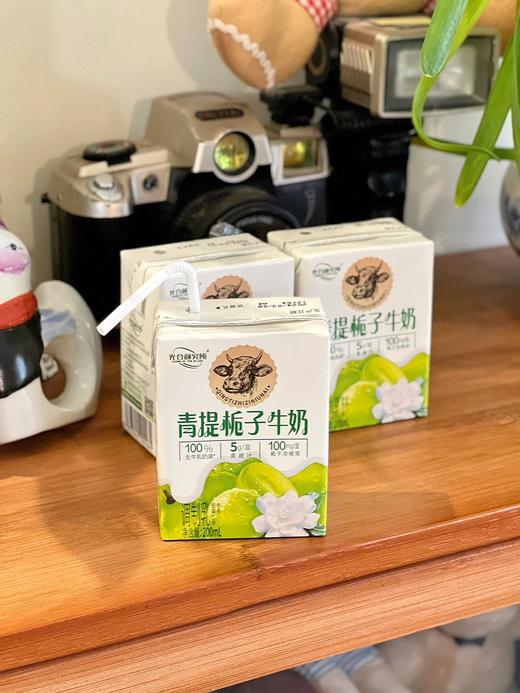//【光合颜究所·青提栀子牛奶】𝙉𝙚𝙬 𝙖𝙧𝙧𝙞𝙫𝙖𝙡 ｜新品上线✅生牛乳添加量占80%以上✅添加青提汁、栀子花提取液 商品图1