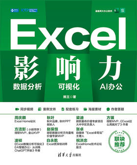 Excel影响力：数据分析·可视化·AI办公