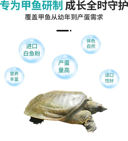 南强牌甲鱼颗粒饲料甲鱼专用颗粒饲料龟鳖颗粒饲料高钙甲鱼粮 商品图2