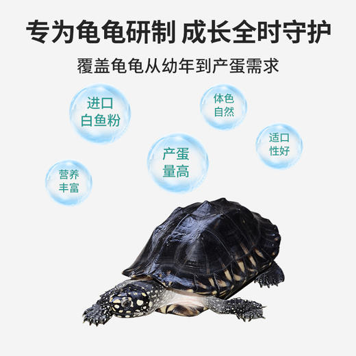 南强南祥养殖场石金钱龟粮草龟巴西火焰鳄龟料养殖场龟粮20KG/包 商品图2