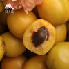 生态珍珠油杏| 合作生产 *Eco Pearl Apricot | Coprodution 商品缩略图1