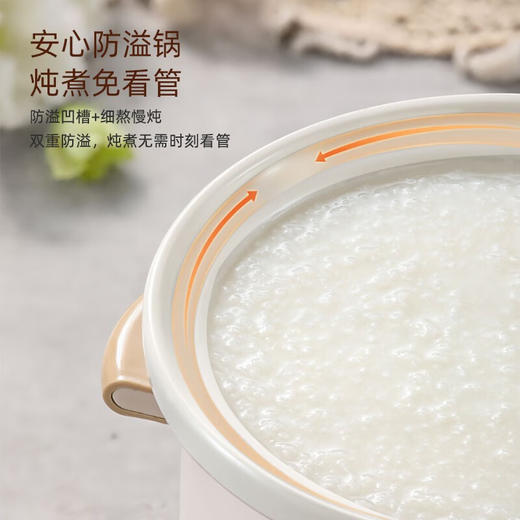 【小家电】龙的longde电炖锅 LD-DG3235电炖盅煲汤锅炖汤锅 婴儿煮粥锅bb煲 熬粥养生 HF 商品图1