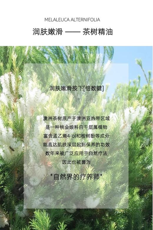 中欧班列精选】Oliviam澳莉维亚澳洲进口浪漫意象茶树洗护沐系列2件/3件4件/6件套礼盒礼品节日送礼 舒缓肌肤,清洁,保湿,去角质 商品图1