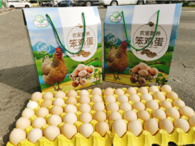 查干湖60枚笨鸡蛋礼盒