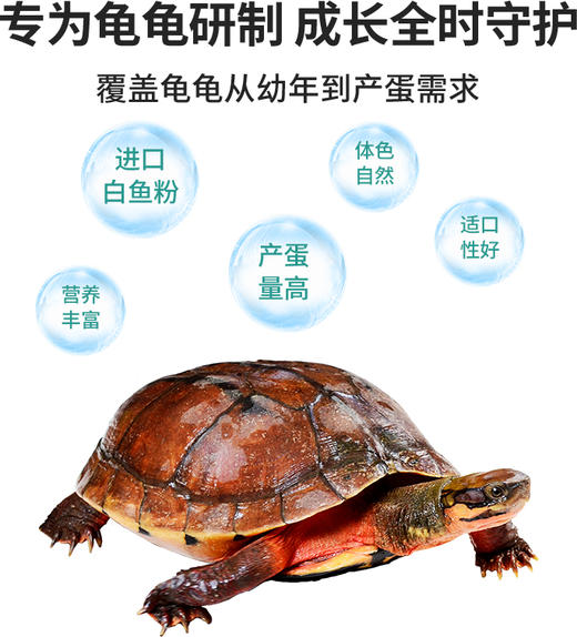 南强牌石金钱龟料4kg装 商品图1