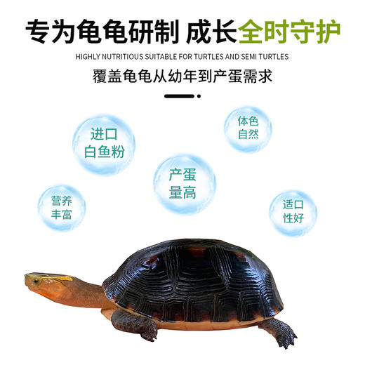 南强黄缘盒龟专用饲料龟粮黄缘盒龟饲料黄缘龟粮1公斤增色饲料 商品图2