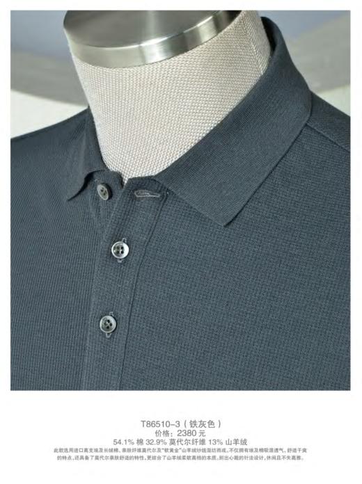 4F佛朗尼齐拉T恤衫 商品图1