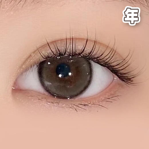 #Honeyps Brown小酥球 棕色 14.2mm【1片装】舒适推荐 / 年抛 商品图2