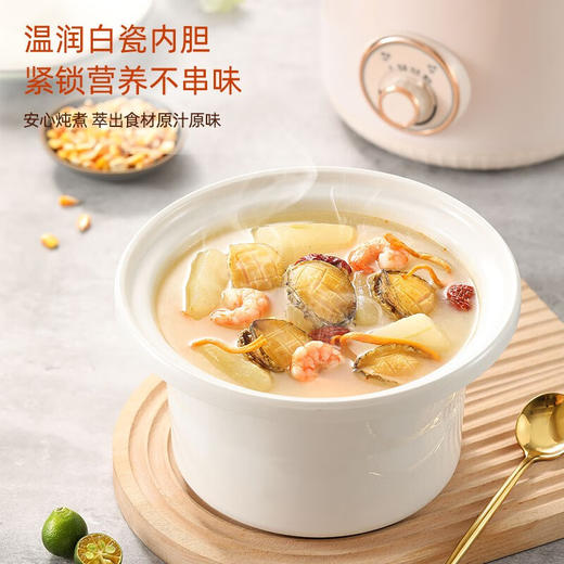 【小家电】龙的longde电炖锅 LD-DG3235电炖盅煲汤锅炖汤锅 婴儿煮粥锅bb煲 熬粥养生 HF 商品图5