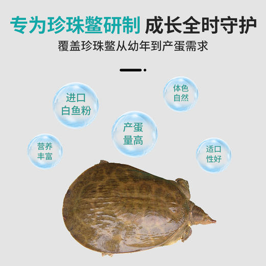 南强牌珍珠鳖膨化饲料高蛋白珍珠鳖养殖饲料 商品图2