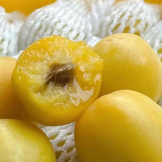 新疆小白杏（篮装）约1.5kg 商品图2