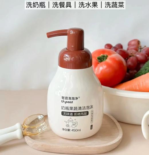 thyseed世喜奶瓶果蔬清洁泡沫450ml 商品图0