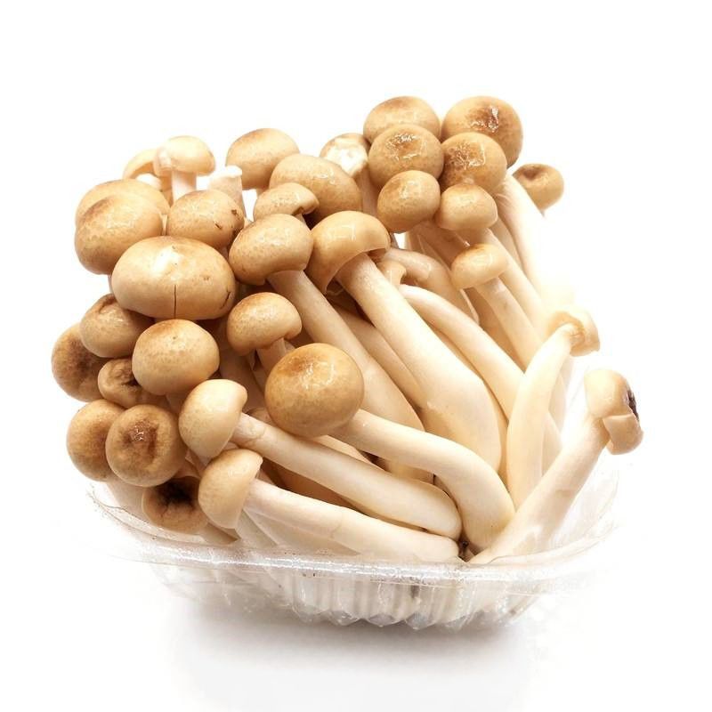 蟹味菇（盒）蘑菇125g